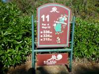 Info